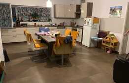 Spatiu comercial! Teren 2900 mp, front 29 ml la 2 strazi