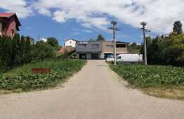 Spatiu comercial! Teren 2900 mp, front 29 ml la 2 strazi