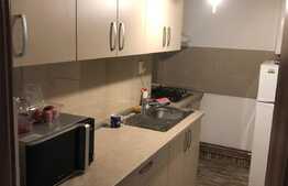 Apartament 2 camere, decomandat, mobilat modern, zona Garii