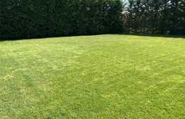 Cladire moderna, zona foarte buna 