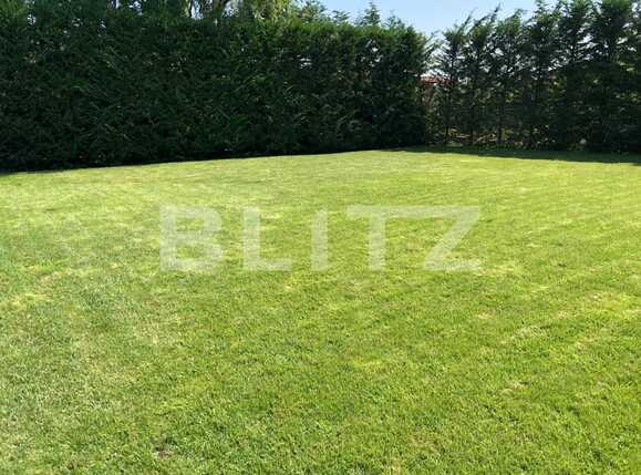 Spațiu birouri de închiriat Andrei Mureşanu - 39155SIB | BLITZ Cluj-Napoca | Poza20