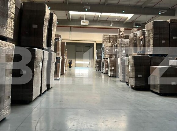 Spațiu industrial de închiriat Apahida - 39156SII | BLITZ Cluj-Napoca | Poza9