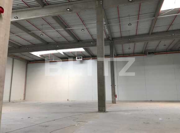 Spațiu industrial de închiriat Apahida - 39156SII | BLITZ Cluj-Napoca | Poza3