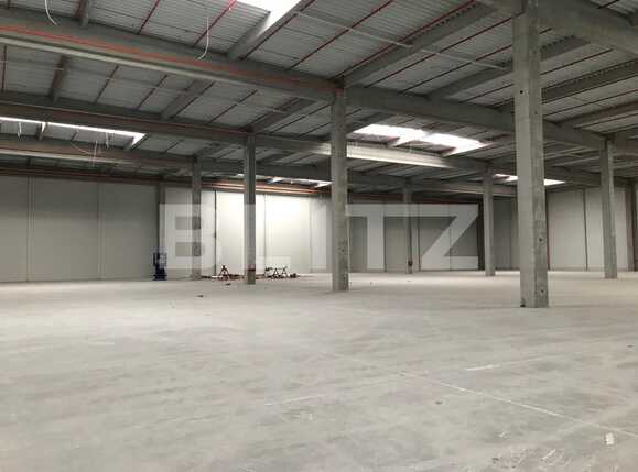 Spațiu industrial de închiriat Apahida - 39157SII | BLITZ Cluj-Napoca | Poza2