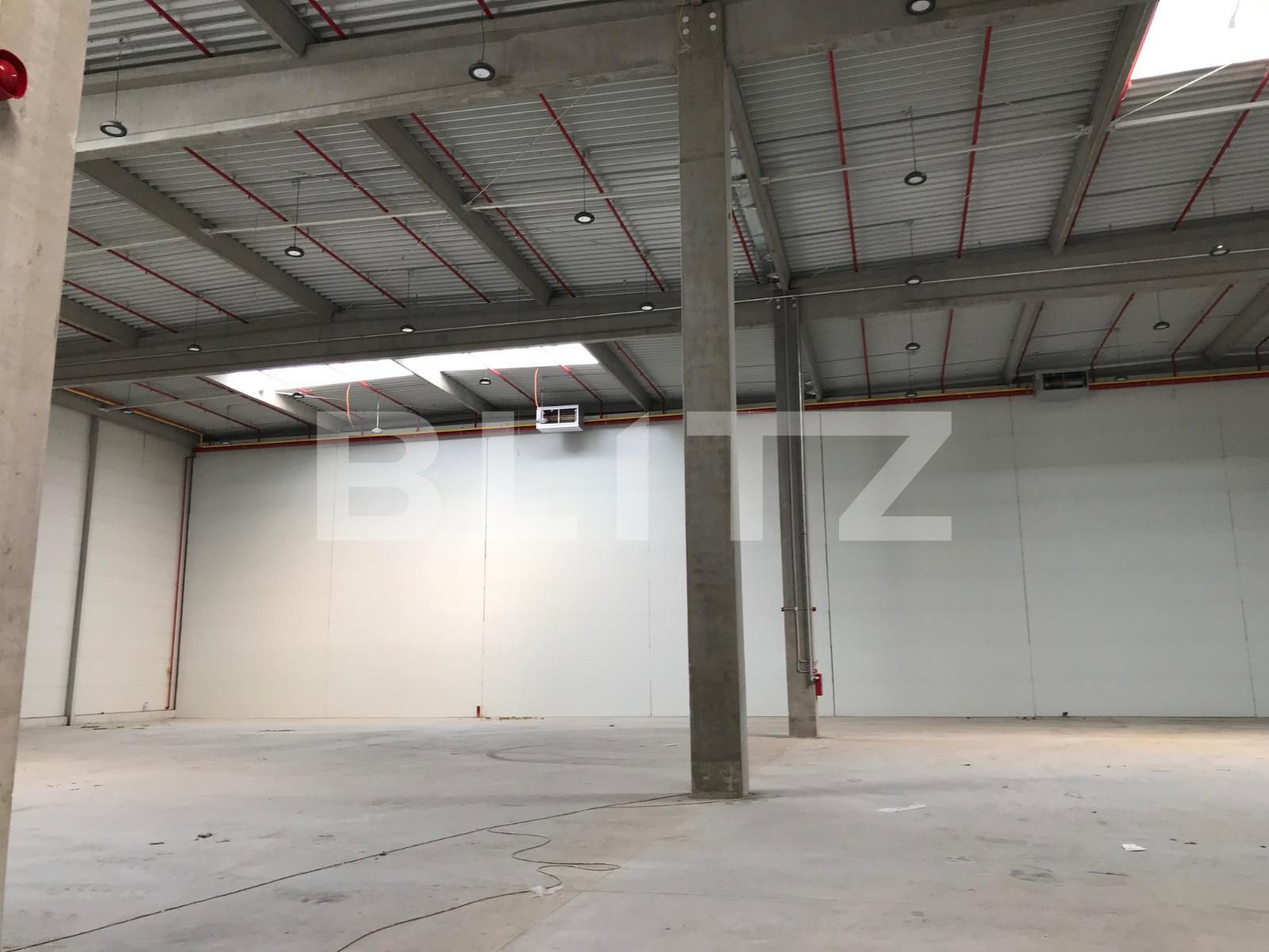 Spațiu industrial de închiriat Apahida - 39157SII | BLITZ Cluj-Napoca | Poza3