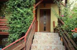 Duplex de vanzare,170 mp utili, 300 mp teren, Andrei Muresanu