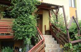 Duplex de vanzare,170 mp utili, 300 mp teren, Andrei Muresanu