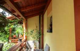 Duplex de vanzare,170 mp utili, 300 mp teren, Andrei Muresanu