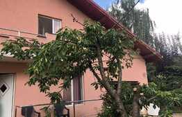 Casa individuala de vanzare, 125 mp, garaj, 300  teren, zona Florilor  !