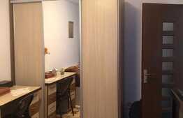 Garsoniera finisata - mobilita de vanzare,  30 mp,  etaj intermediar, zona strazii Porii 