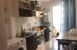 Garsoniera finisata - mobilita de vanzare,  30 mp,  etaj intermediar, zona strazii Porii 