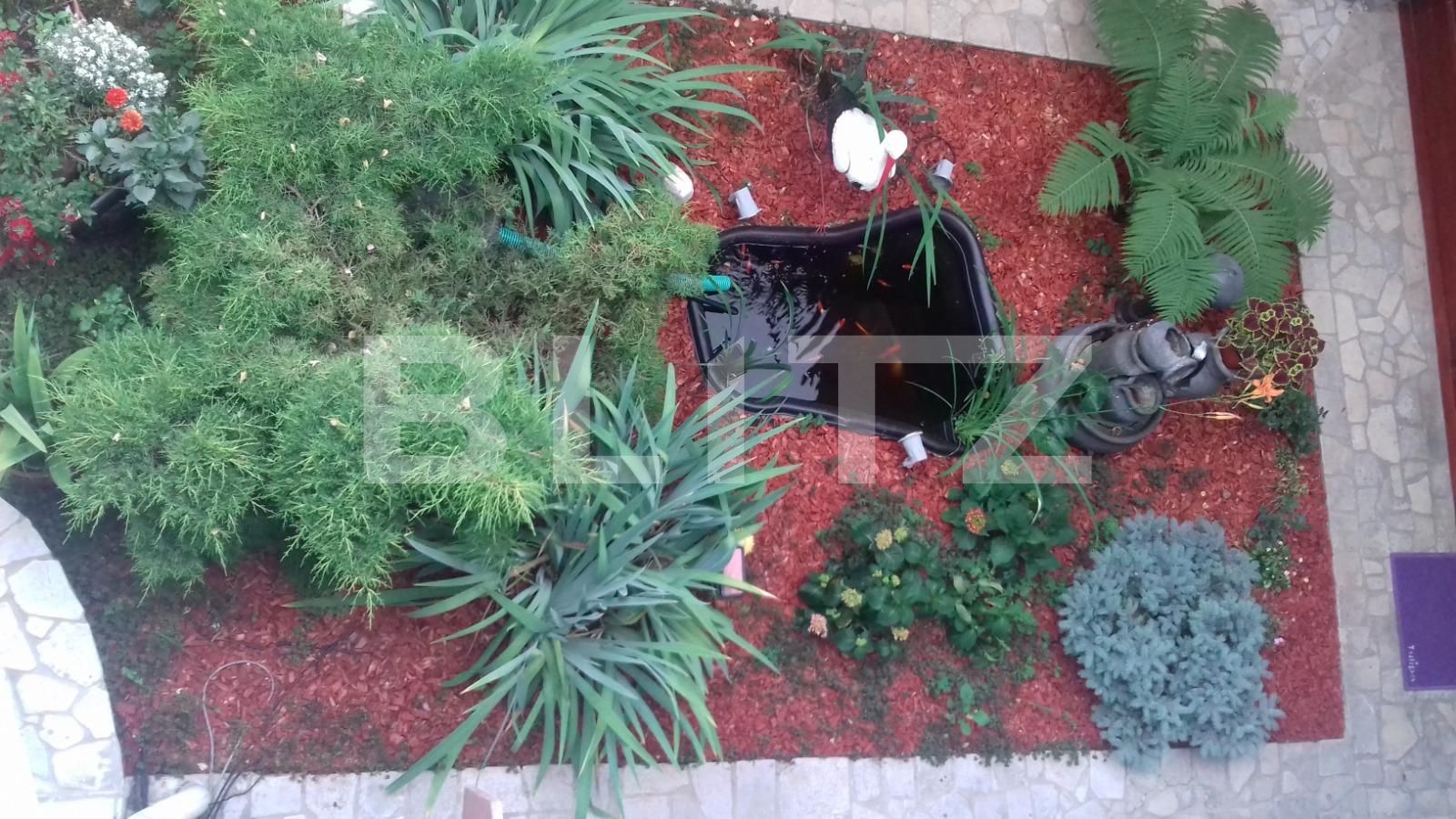 Casa de vânzare 5 camere Grigorescu - 39241CV | BLITZ Cluj-Napoca | Poza9