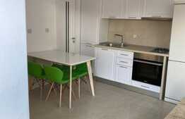 Apartament cu 2 camere, 40 mp, mobilat modern, 2 parcari, zona strazii Plevnei