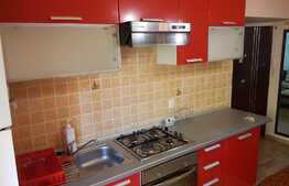 Apartament 2 camere, decomandat, parcare, 45 mp, zona Muzeul Apei!