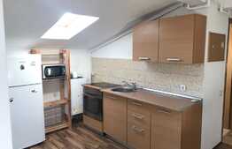 Apartament 2 camere, 43 mp, zona strazii Buna Ziua