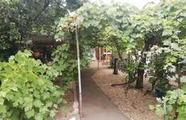 Casa 3 camere 80 mp, curte 150 mp, partial mobilat,  zona Constantin Brancusi