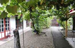 Casa 3 camere 80 mp, curte 150 mp, partial mobilat,  zona Constantin Brancusi