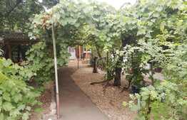 Casa 3 camere 80 mp, curte 150 mp, partial mobilat,  zona Constantin Brancusi