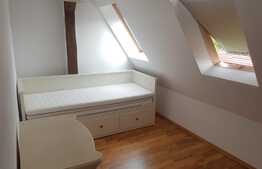 Apartament 4 camere , 2 nivele, 120 mp, modern, loc parcare, zona strazii Muzeul Apei!