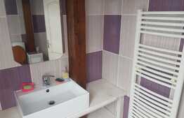 Apartament 4 camere , 2 nivele, 120 mp, modern, loc parcare, zona strazii Muzeul Apei!