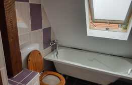 Apartament 4 camere , 2 nivele, 120 mp, modern, loc parcare, zona strazii Muzeul Apei!