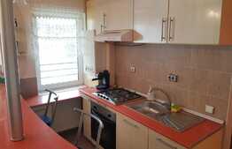 Apartament 2 camere, priveliste frumoasa, zona strazii Stejarului!