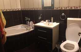 Apartament de vanzare, 2 camere, mobilat, 56 mp, zona Muzeul Apei ! 