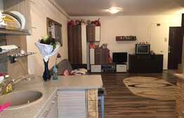 Apartament de vanzare, 2 camere, mobilat, 56 mp, zona Muzeul Apei ! 