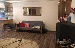 Apartament de vanzare, 2 camere, mobilat, 56 mp, zona Muzeul Apei ! 