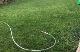 Doua case cuplate de vanzare, total 440 mp, 450 teren, Zona Florilor ! 