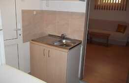 Garsoniera 30 mp, demisol inalt, zona Gradinii Botanice