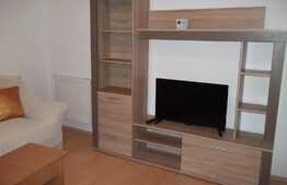 Garsoniera 30 mp, demisol inalt, zona Gradinii Botanice