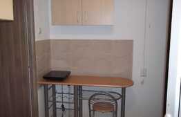 Garsoniera 30 mp, demisol inalt, zona Gradinii Botanice