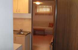 Garsoniera 30 mp, demisol inalt, zona Gradinii Botanice