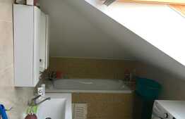 Apartament PET FRIENDLY, 3 camere, parcare, zona Florilor!