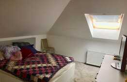 Apartament PET FRIENDLY, 3 camere, parcare, zona Florilor!