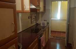 Apartament 1 camera