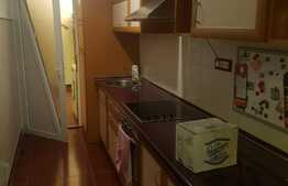 Apartament 1 camera