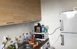 Apartament 1 camera, 27 mp si terasa de 11mp, zona Autogara Beta