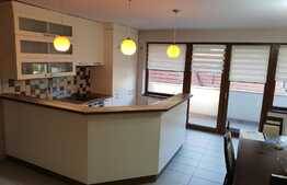 3 camere, 102 mp utili, 26 mp terasa, zona Taietura Turcului