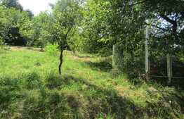 De vanzare casa individuala, 150 mp, teren 2000 mp, Exterior Sud!