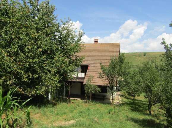 Casa de vânzare 6 camere Exterior Sud - 39383CV | BLITZ Cluj-Napoca | Poza3