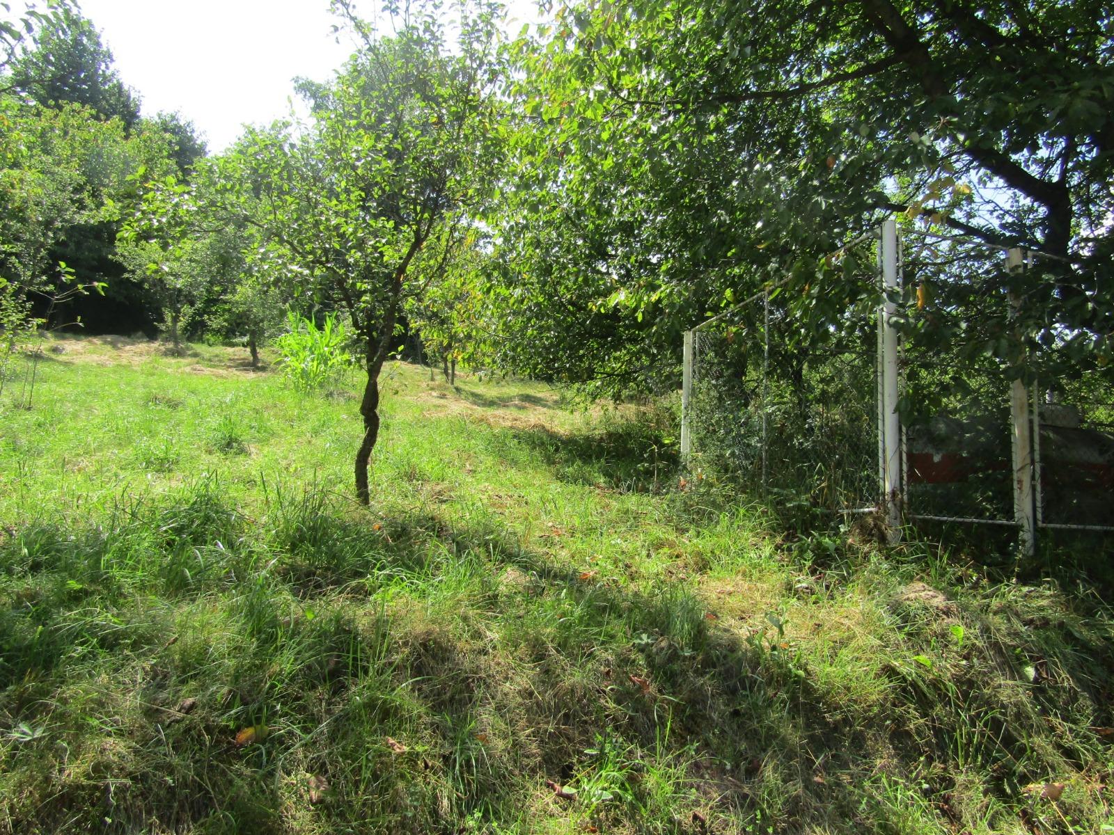 Casa de vânzare 6 camere Exterior Sud - 39383CV | BLITZ Cluj-Napoca | Poza4