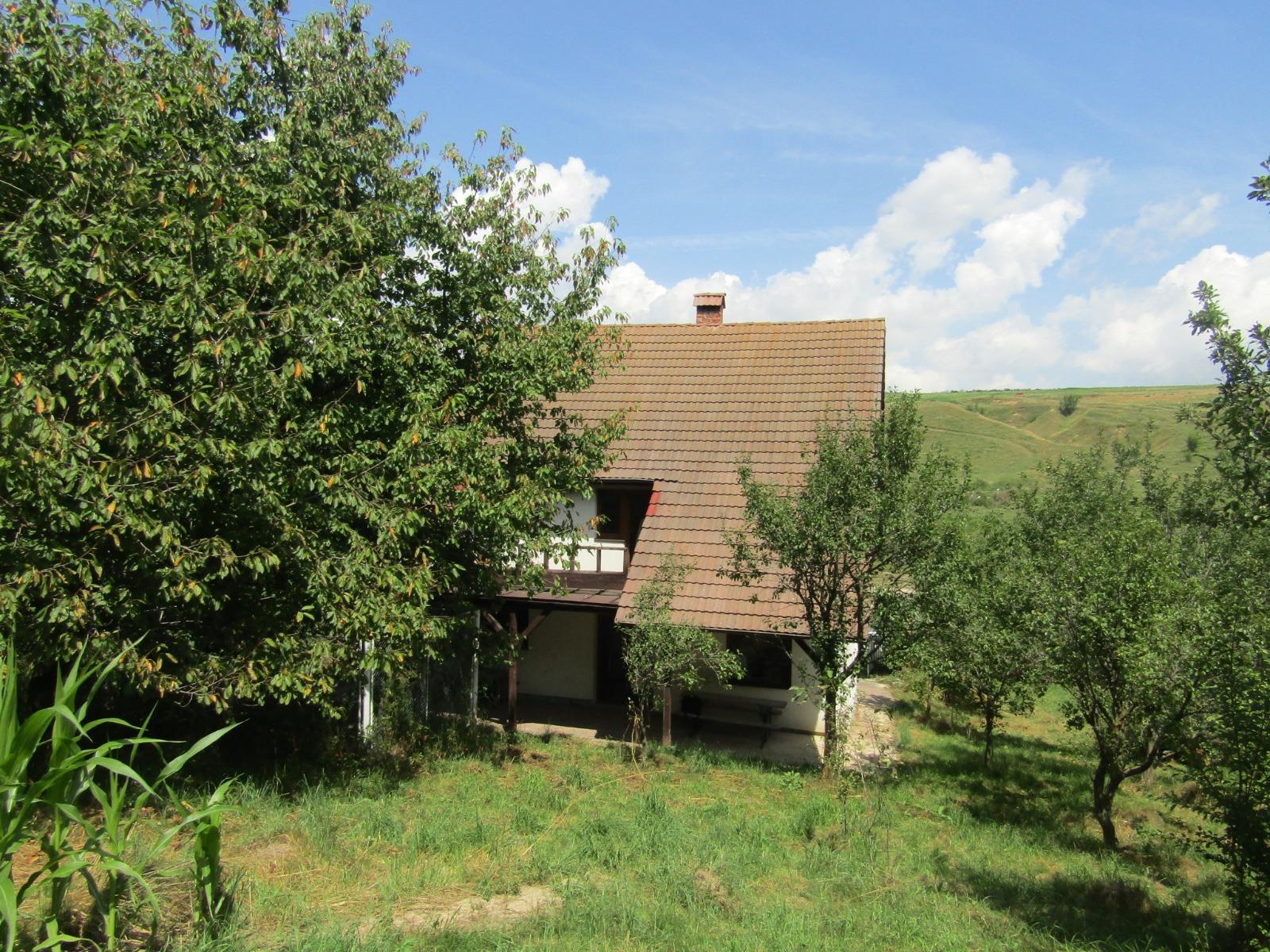 Casa de vânzare 6 camere Exterior Sud - 39383CV | BLITZ Cluj-Napoca | Poza3