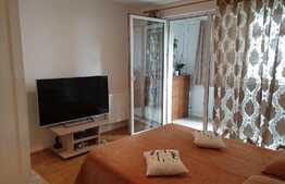 Apartament modern, 1 camera, zona Eroilor!