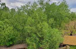 Apartament 2 camere, 52 mp, parcare, zona strazii Campului