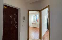 Apartament 4 camere, 120mp, 2 bai, balcon, gradina, pet friendly, zona Campului