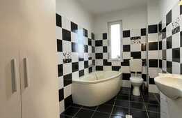 Apartament 4 camere, 120mp, 2 bai, balcon, gradina, pet friendly, zona Campului