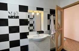 Apartament 4 camere, 120mp, 2 bai, balcon, gradina, pet friendly, zona Campului