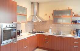  Casa individuala 297 mp utili, la cheie, LUX, 752 mp teren, in inima cartierului Andrei Muresanu